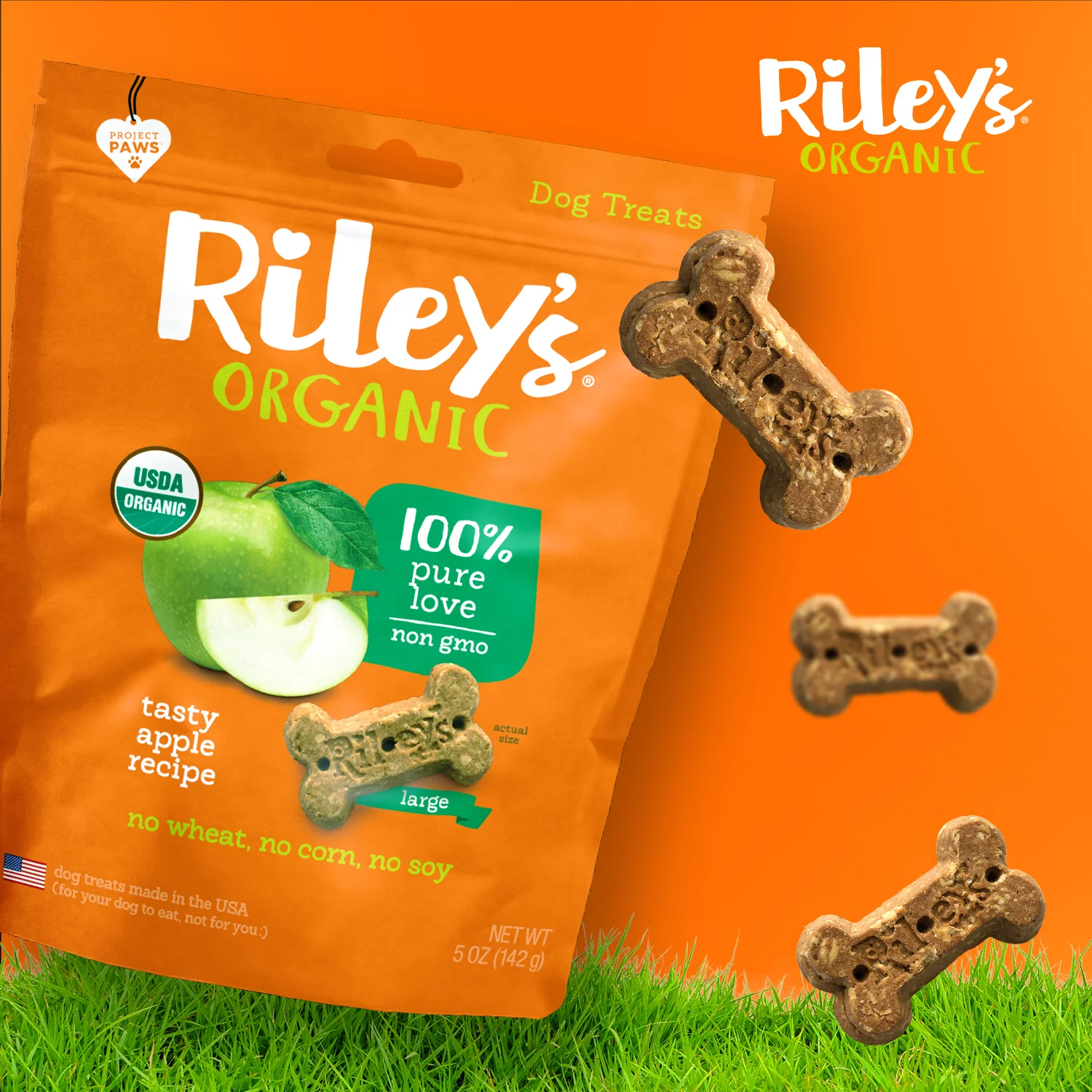 Tasty Organic Apple Baked Biscuits - Large Bone - Image 9