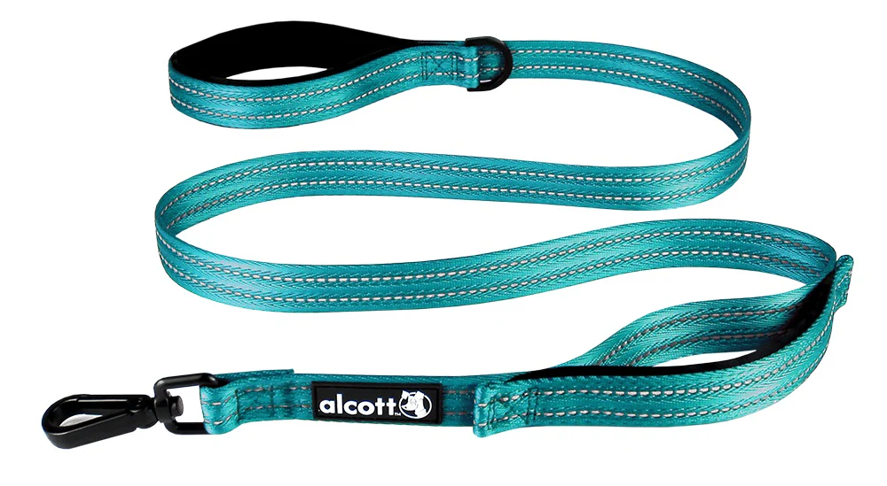 Traffic Leash - Image 2