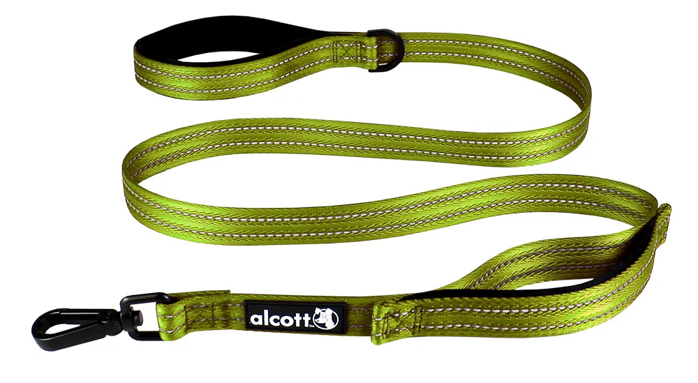 Traffic Leash - Image 3