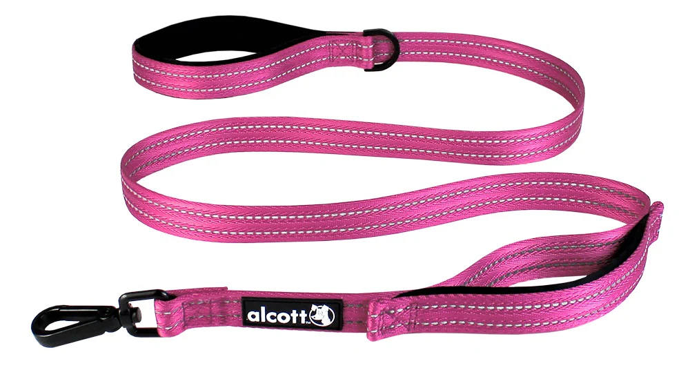 Traffic Leash - Image 4