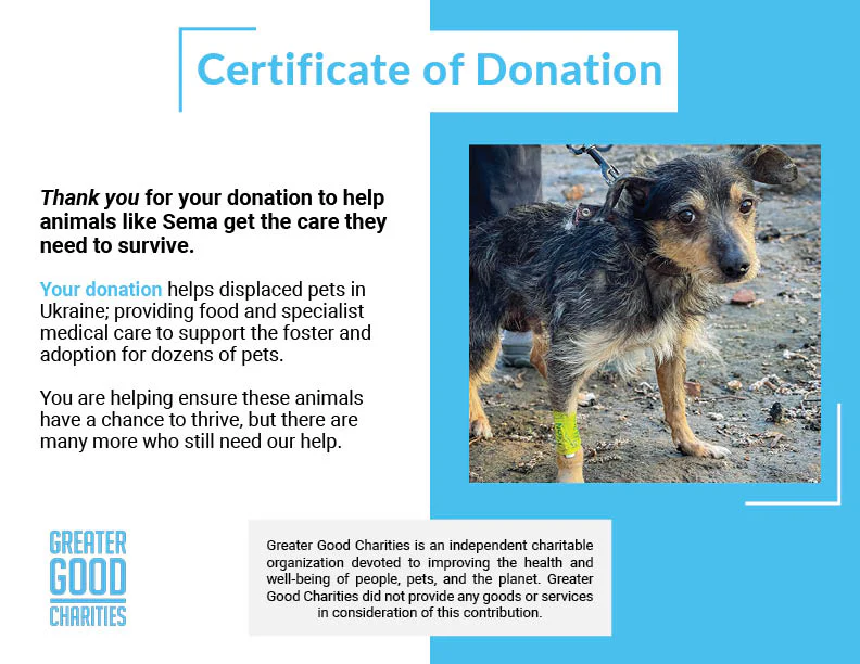 Funded: Dog Rescued from Frontlines Suffering from Parvo Needs Your Support to Survive - Image 5