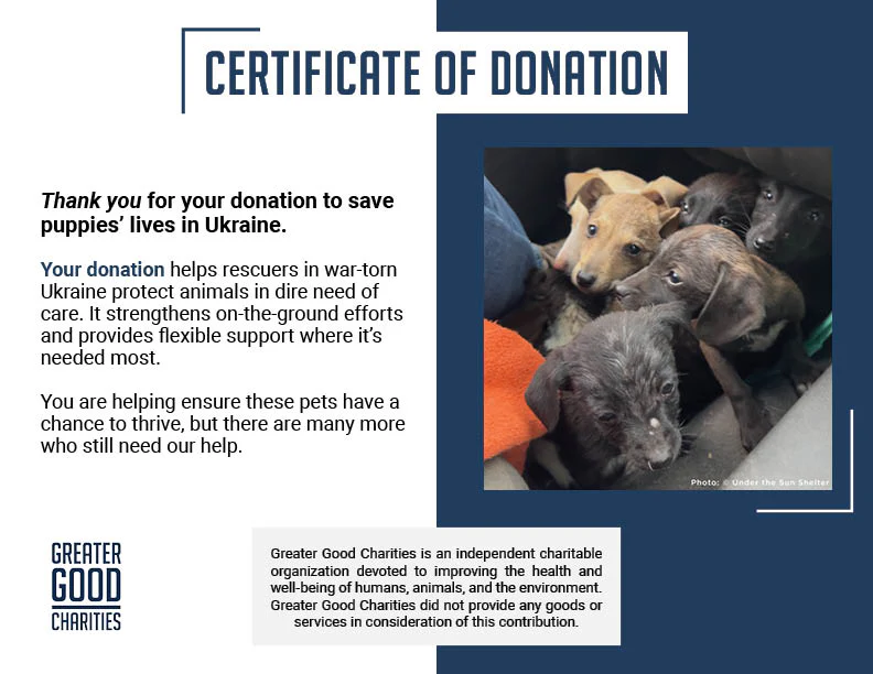 Funded: 36 Newborn Puppies Rescued from War Zone Need Care - Image 18