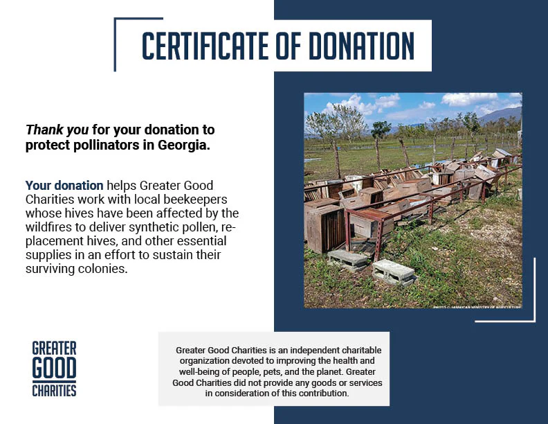 URGENT: Help Feed Starving Bees Affected by Georgia Wildfire - Image 11