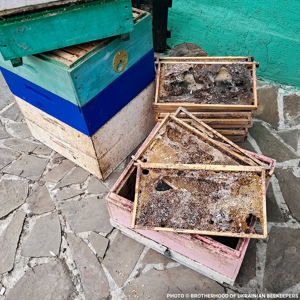 URGENT: Help Feed Starving Bees Affected by Georgia Wildfire - Image 3