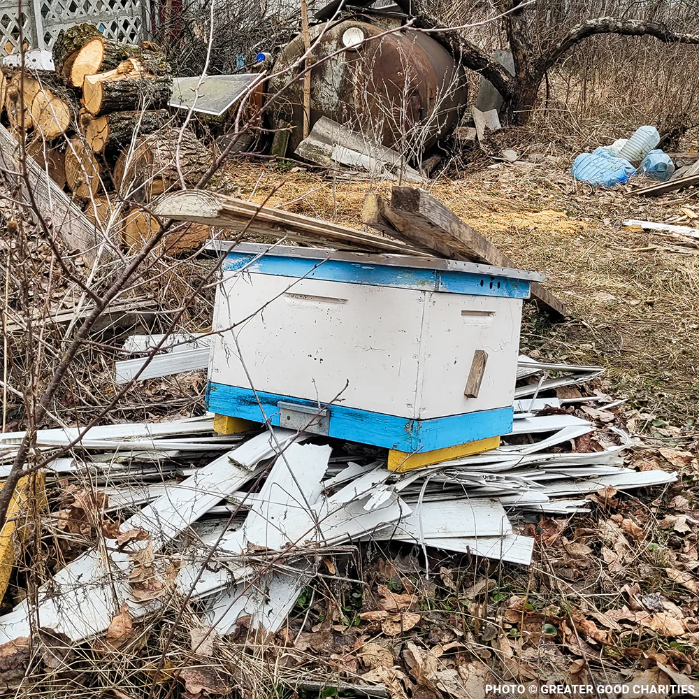 URGENT: Help Feed Starving Bees Affected by Georgia Wildfire - Image 4