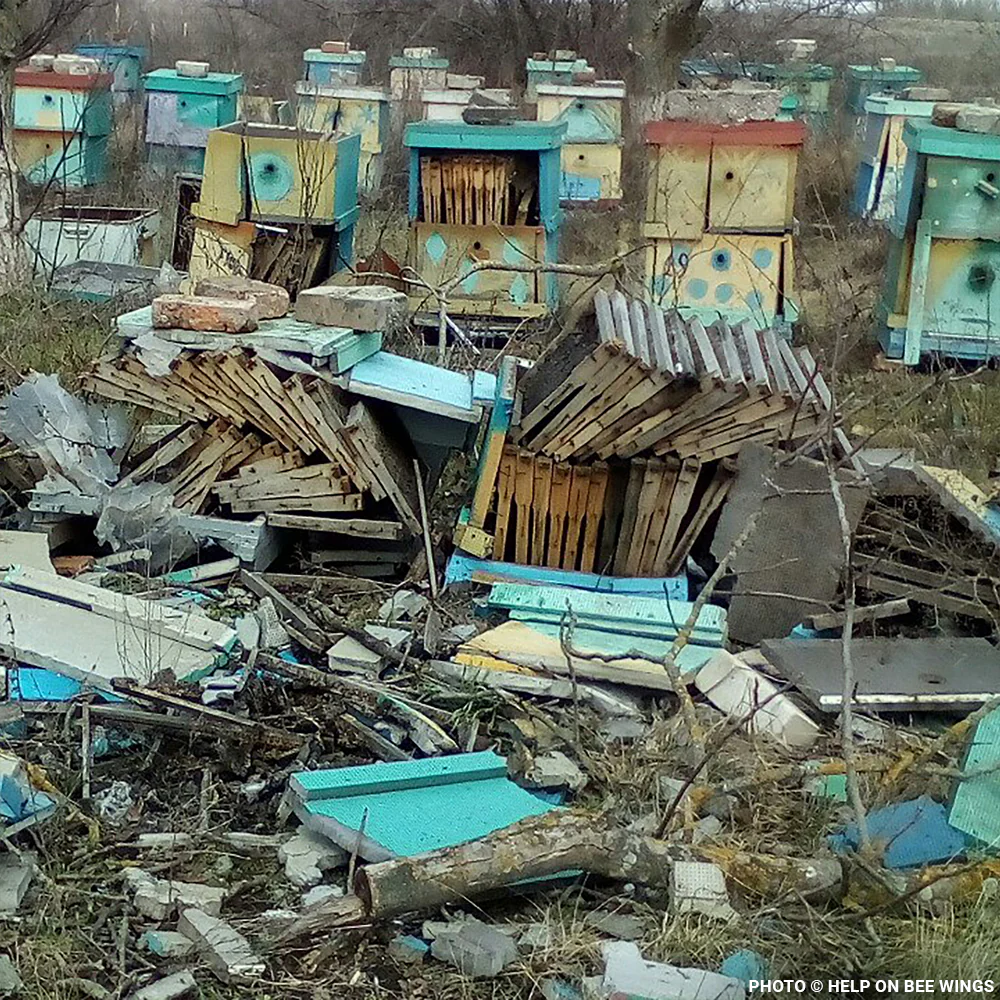 URGENT: Help Feed Starving Bees Affected by Georgia Wildfire - Image 5