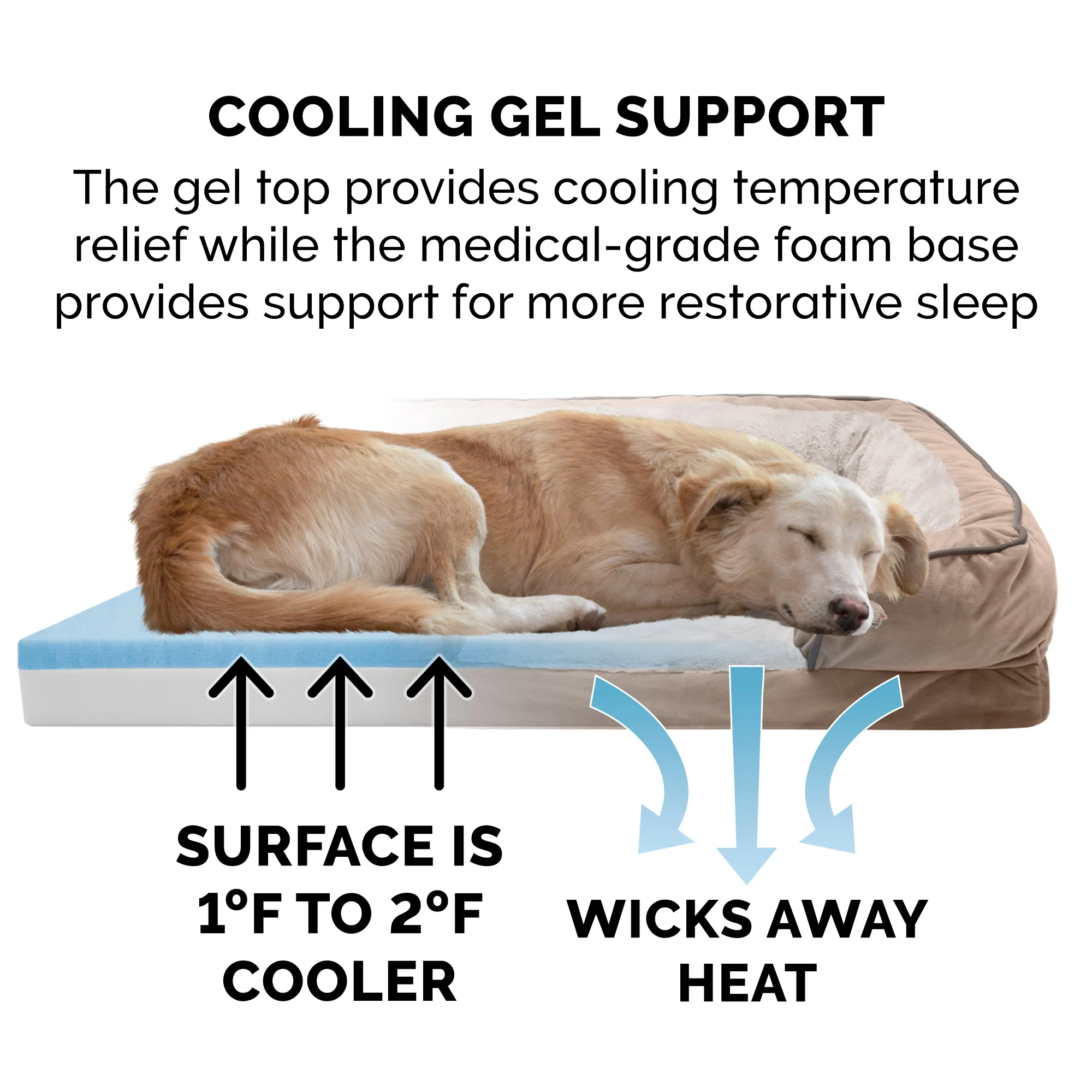 Velvet Waves Sofa-Style Couch Pet Bed - Image 4