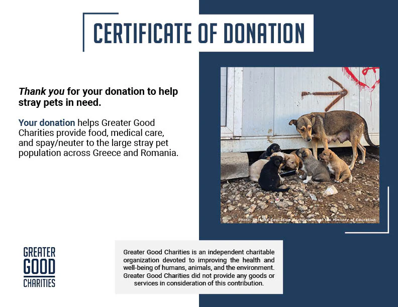 Starving & Injured: Homeless Animals Around the World Need Your Help - Image 15